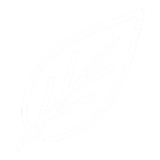 Tea Icon
